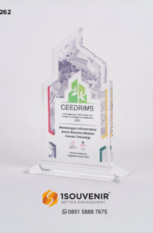 Plakat Akrilik CEEDRiMS 2022