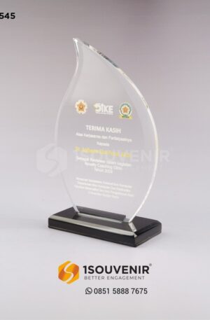 Plakat Akrilik Terima Kasih sebagai Reviewer Novelty Coaching Clinic 2024